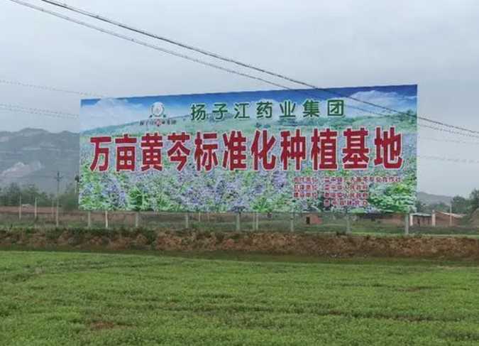 扬子江药业：彰显药企责任担当 掌握精准扶贫“金钥匙”