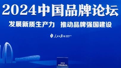 品牌建设再创佳绩，九游注册官网_九游（中国）
入选2024中国品牌建设案例